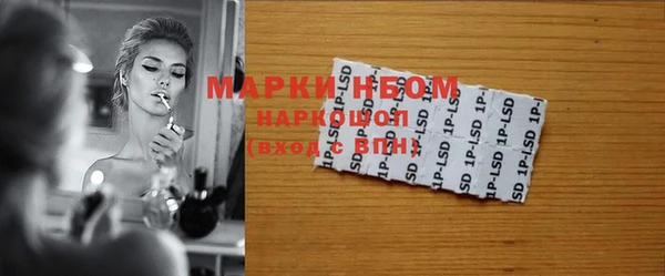 индика Новокубанск