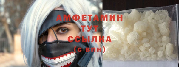 индика Новокубанск