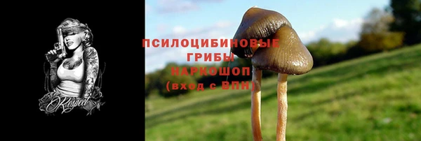 винт Новодвинск