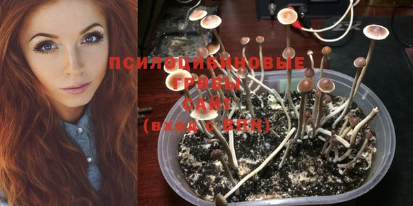 прущая мука Няндома