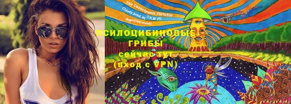 МДПВ Нязепетровск