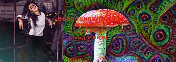 шишки Осинники