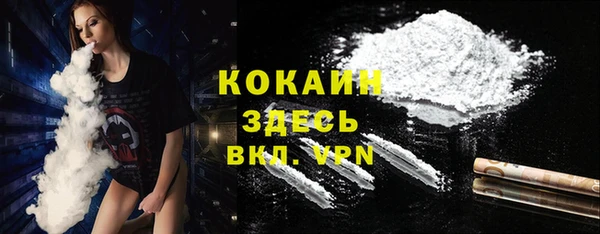 прущая мука Няндома