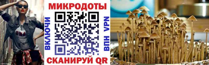 Галлюциногенные грибы Magic Shrooms  hydra ТОР  Новоуральск  где продают  