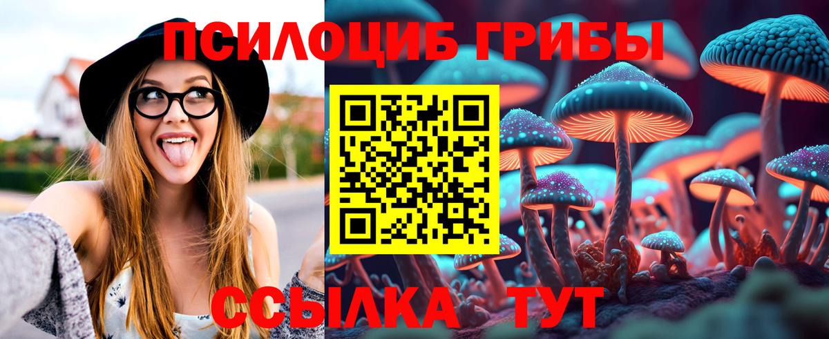 Псилоцибиновые грибы мухоморы Новоуральск